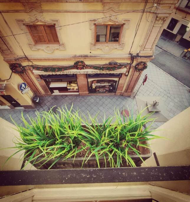 Estudio Centro De Sevilla Zewnętrze zdjęcie